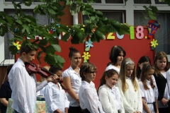 IMG_7905 (FILEminimizer)