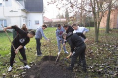 1_IMG_2936-FILEminimizer