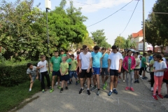 IMG_5550 (FILEminimizer)