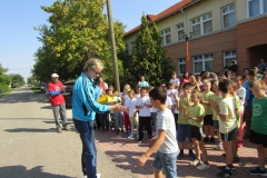 IMG_5602 (FILEminimizer)