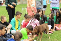 IMG_7642 (FILEminimizer)