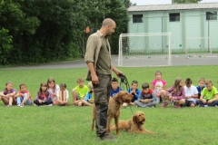 IMG_7652 (FILEminimizer)