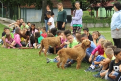 IMG_7654 (FILEminimizer)