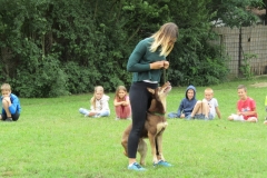 IMG_7670 (FILEminimizer)