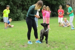 IMG_7673 (FILEminimizer)