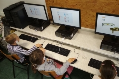 IMG_20181114_101254 (FILEminimizer)