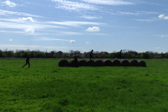 IMG_20250404_120407