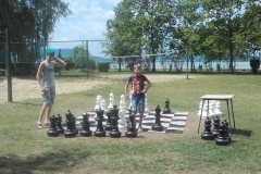 26