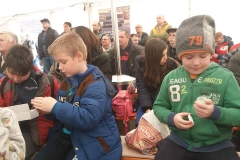 27459164_1265405790259496_8117879057935909573_n