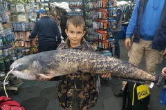 27544736_1265078030292272_3185338360931274821_n