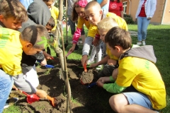 IMG_7278 (FILEminimizer)