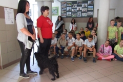 IMG_7299 (FILEminimizer)