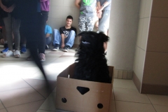 IMG_7310 (FILEminimizer)