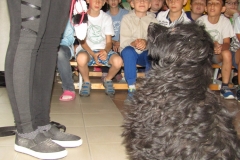 IMG_7325 (FILEminimizer)