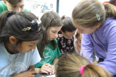 IMG_7401 (FILEminimizer)