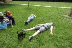 IMG_7433 (FILEminimizer)