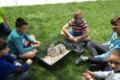 IMG_7434 (FILEminimizer)