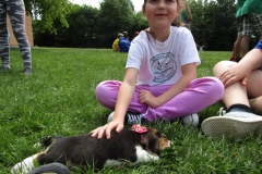 IMG_7438 (FILEminimizer)