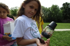 IMG_7439 (FILEminimizer)