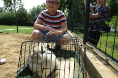 IMG_7453 (FILEminimizer)