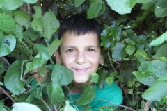 IMG_7466 (FILEminimizer)