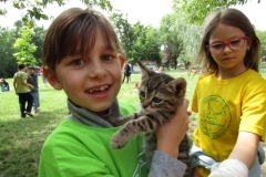 IMG_7471 (FILEminimizer)