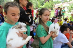 IMG_7478 (FILEminimizer)