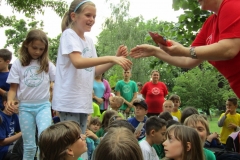 IMG_7487 (FILEminimizer)