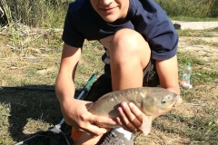 IMG-1a562d2564131b341b6ef03880ad15bd-V