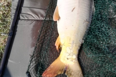 IMG-2307e8e37c5f39e39316ad1ef819fd73-V