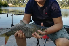 IMG-f1ef17b1894805d6ef85bd0a553be1e2-V