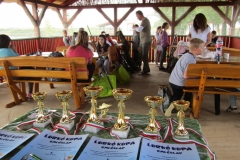 IMG_5485 (FILEminimizer)