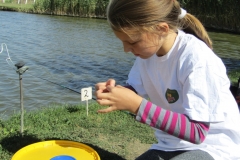 IMG_5496 (FILEminimizer)