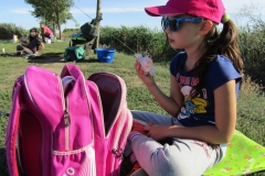 IMG_5524 (FILEminimizer)