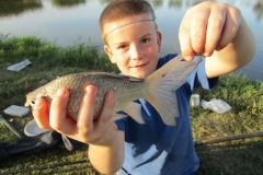 IMG_5528 (FILEminimizer)