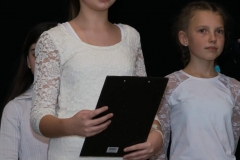 IMG-67384d5b4750aa130539b8f798c839ea-V