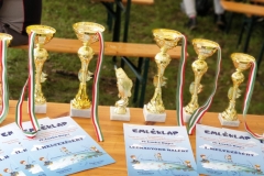 IMG-67e138537a40e07b44f97482b40ee2e5-V