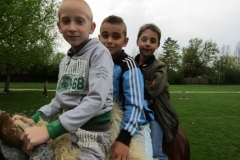 IMG_6758 (FILEminimizer)
