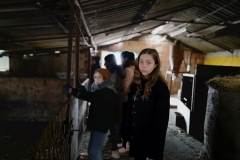 IMG_20190130_131419-FILEminimizer