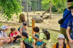 3ecaf9e749bcf1d7f6cdb2e2673c581b-1