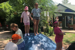 ed9c2b1e55c02caef530f15b6a998c8c