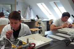 20171006_105546 (FILEminimizer)