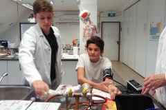 20171006_113938 (FILEminimizer)