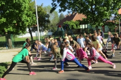 IMG_7042 (FILEminimizer)
