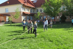 IMG_7081 (FILEminimizer)