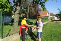 IMG_7088 (FILEminimizer)