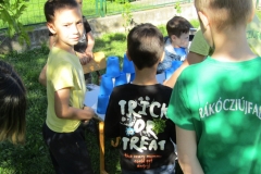 IMG_7095 (FILEminimizer)