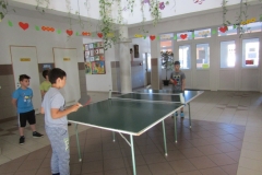 IMG_7113 (FILEminimizer)