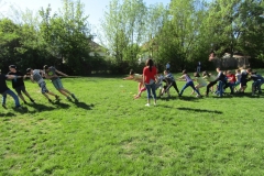 IMG_7120 (FILEminimizer)