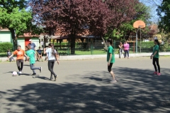 IMG_7202 (FILEminimizer)